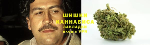 первитин Краснослободск
