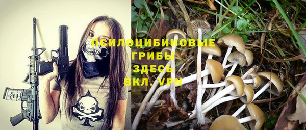 первитин Краснослободск