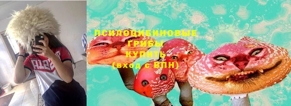 первитин Краснослободск