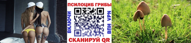 Галлюциногенные грибы мицелий  KRAKEN зеркало  Комсомольск-на-Амуре 